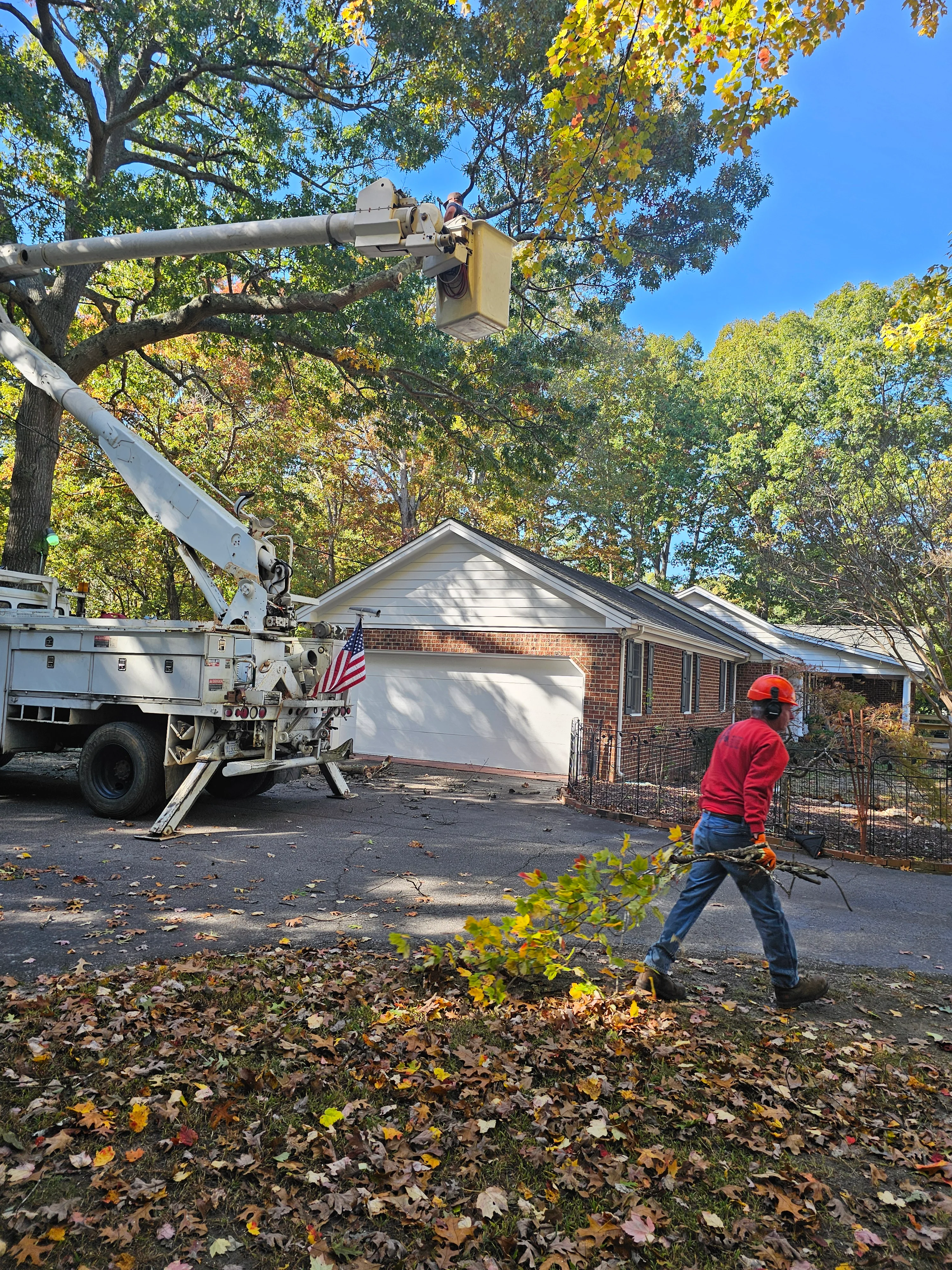 Bucket truck operator trimming large oak tree branches near brick home in Garner